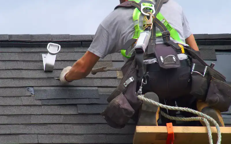 Roof Maintenance Services: Protecting Your Home from Top to Bottom