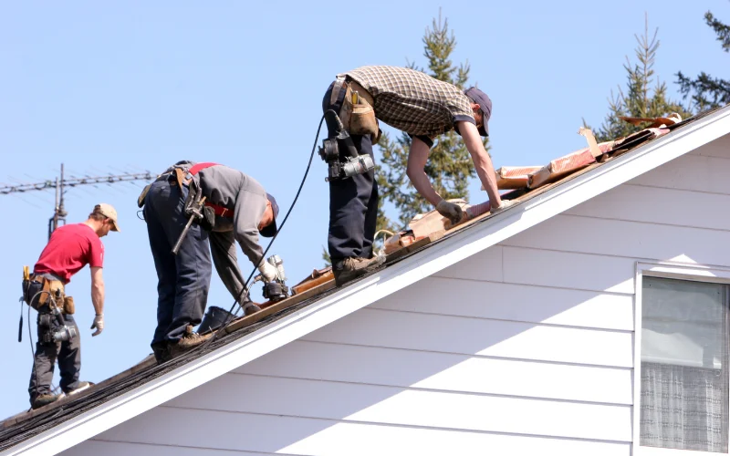 roof replacement sarasota