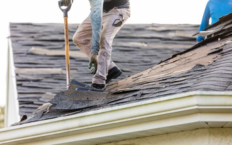 Essential Guide to Storm Damage Roof Repair in Longboat Key