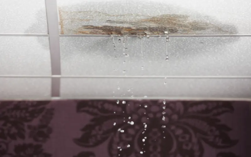 roof repairs sarasota fl