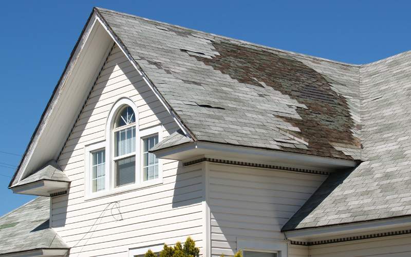 Everything You Need to Know About Roof Repair in Sarasota, FL