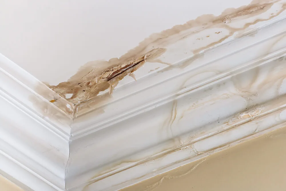 Leak in a ceiling due to roof inspection found