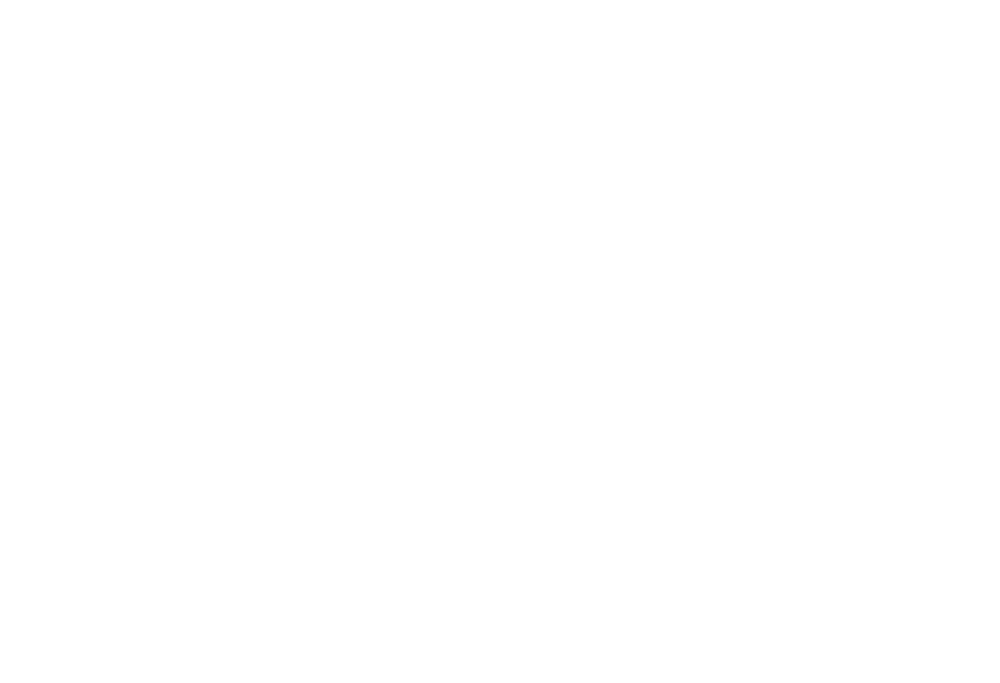 longboat Key Roofing Logo